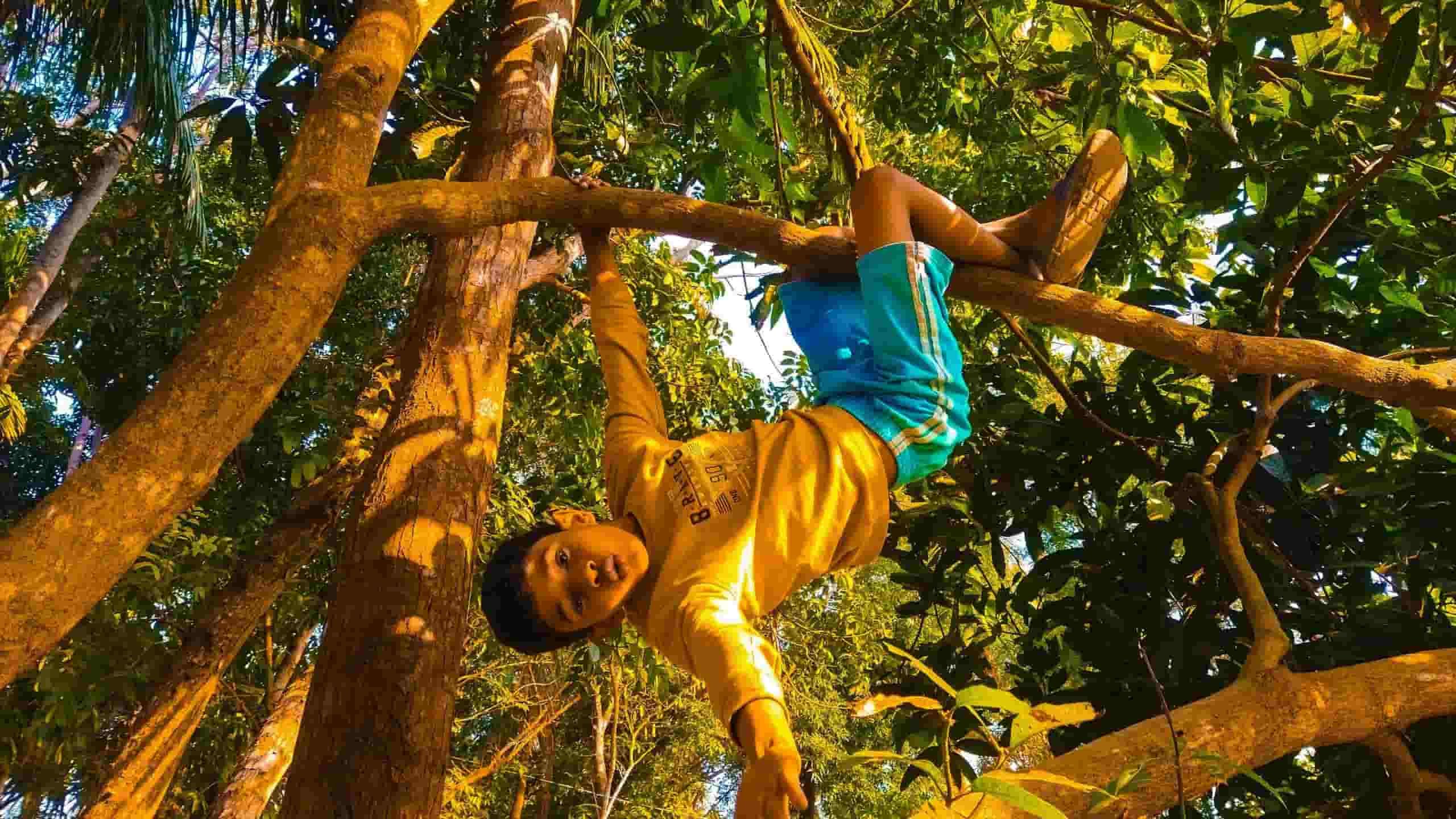 Høyt & Lavt klimpark